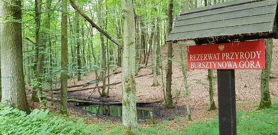 Restauracja Stary Młyn